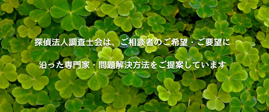 探偵法人調査士会は、ご相談者のご希望・ご要望に沿った専門家・問題解決方法をご提案しています