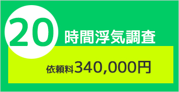 ２０時間の浮気調査