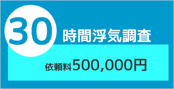 ３０時間の浮気調査