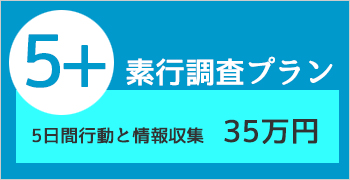 素行調査5日間＋情報収集