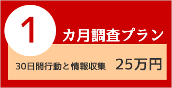 行方調査1カ月プラン