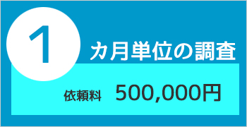 選ぶ行方調査プラン3