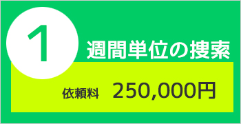 家出人捜索調査プラン2