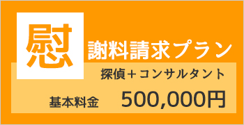 慰謝料請求プラン