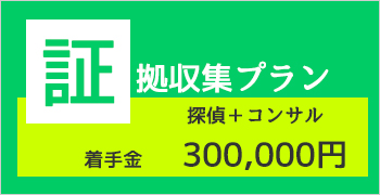 証拠収集プラン