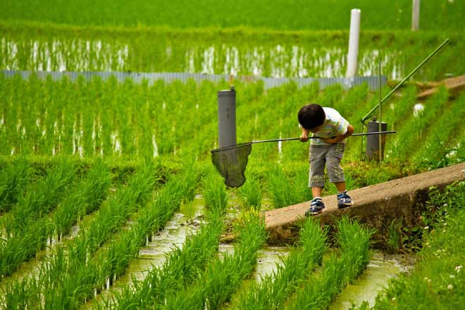 手作りのしおりを持ち主に返したい｜香川県の探偵の人探し調査