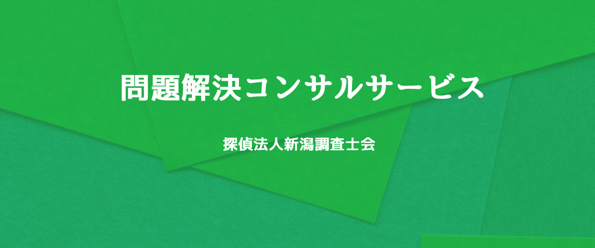 問題解決コンサルサービス（探偵法人新潟）