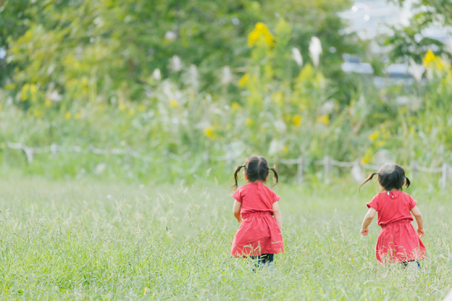 生き別れの妹にもう一度会いたい｜探偵のメッセンジャー（伝え人）