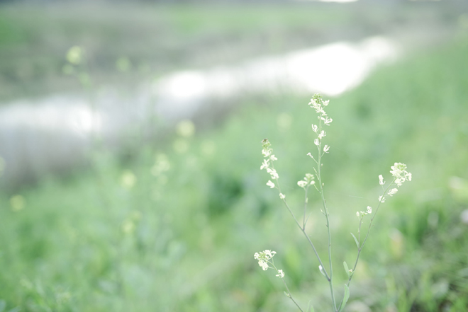 詐欺被害に遭ったら、泣き寝入りせずに何か解決策を見つけ出しましょう！｜探偵の騙され被害解決サポート