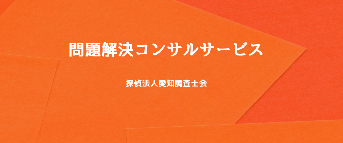 問題解決コンサルサービス（探偵法人神奈川）