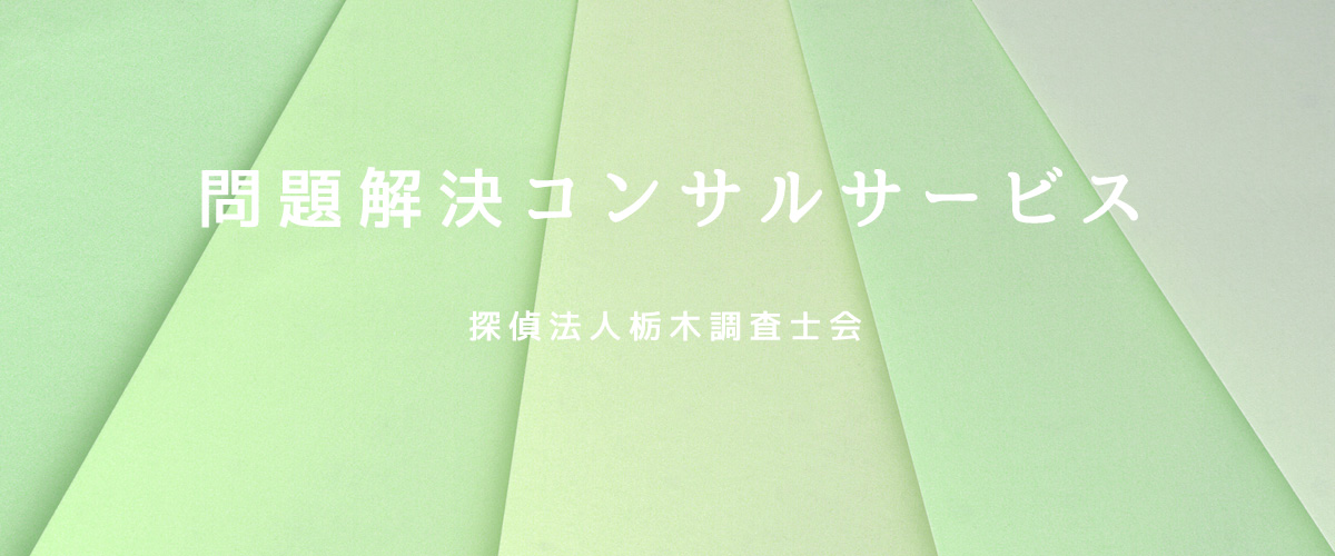 問題解決コンサルサービス（探偵法人栃木）