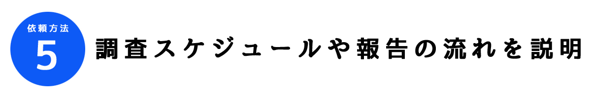 人探し調査依頼方法5｜調査スケジュールや報告の流れを説明