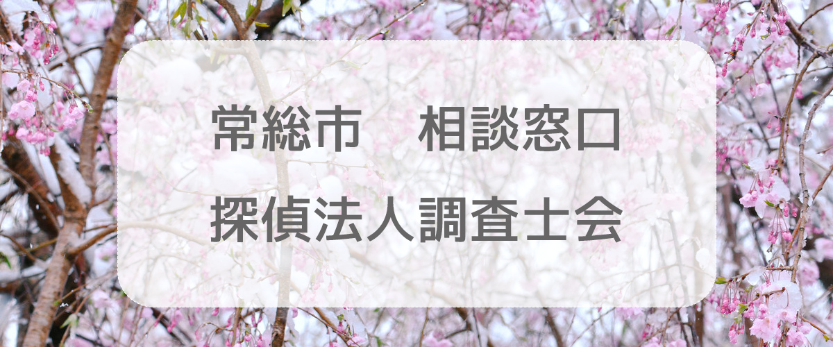 探偵相談常総市の窓口