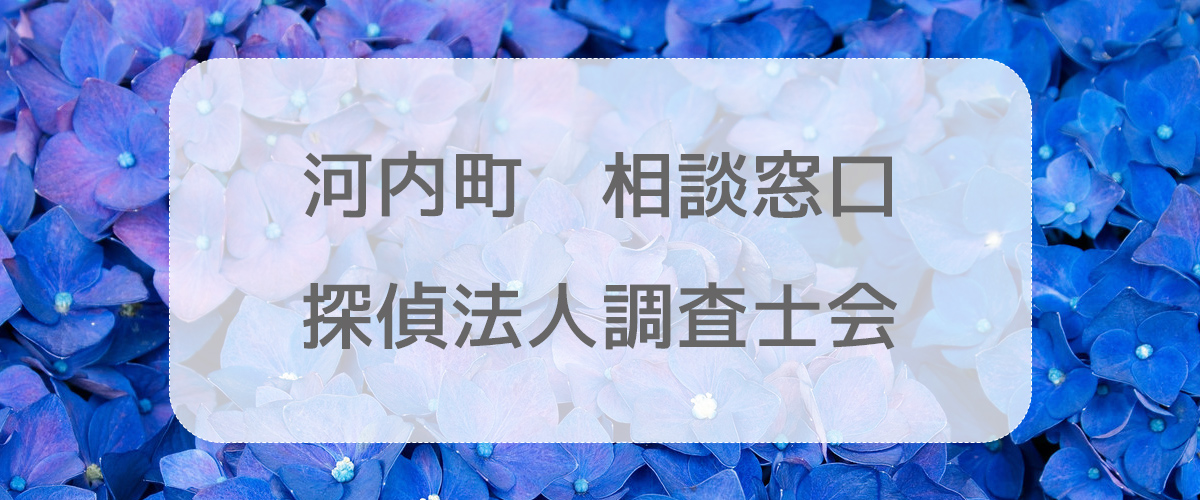 探偵相談河内町の窓口