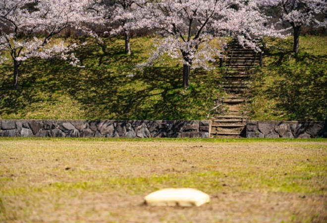 大学受験に落ちてしまった高校生の家出・失踪は意外に多い？｜探偵法人調査士会