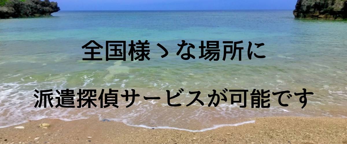 全国様々な場所に派遣探偵サービスが可能です｜探偵法人調査士会