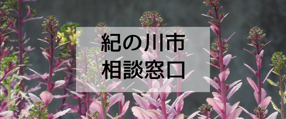 探偵相談紀の川市窓口