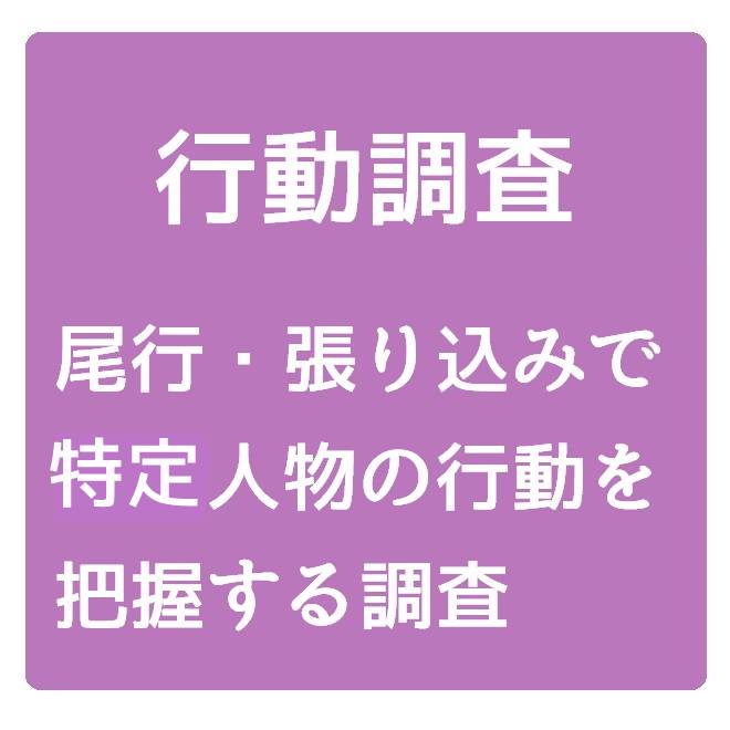 行動調査