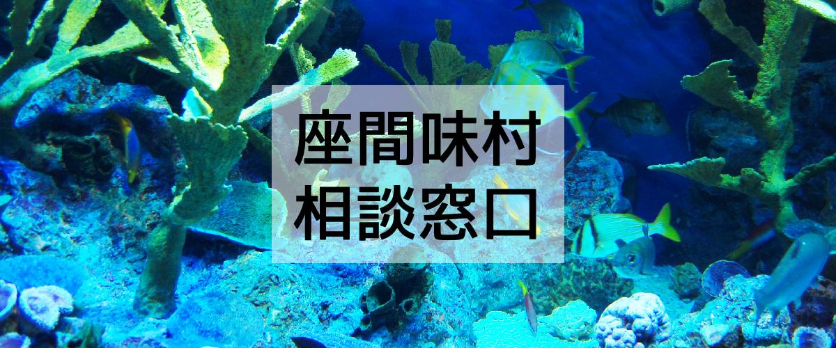 探偵相談座間味村の窓口