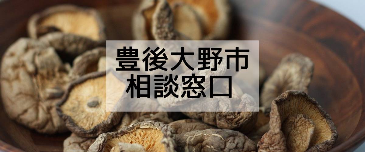 探偵相談豊後大野市窓口