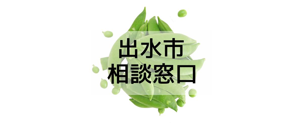 探偵相談出水市窓口