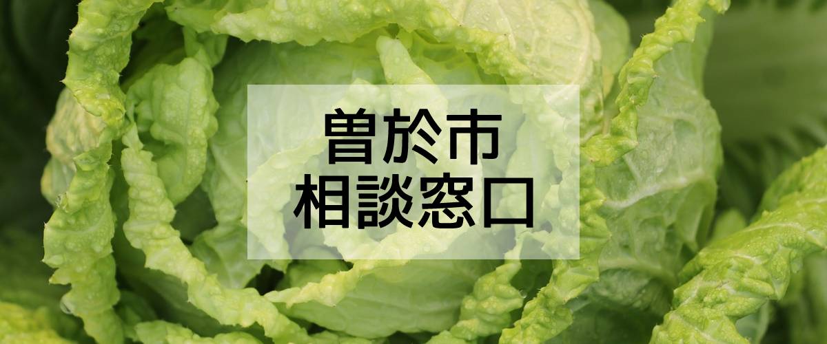 探偵相談曽於市窓口