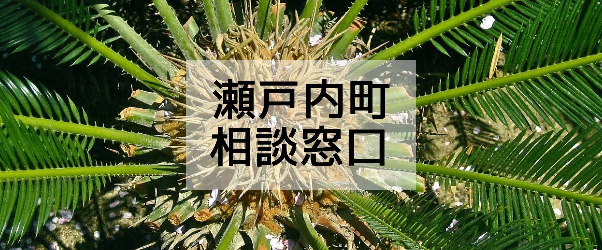 探偵相談瀬戸内町窓口