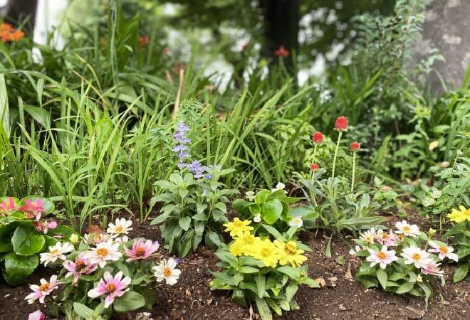 家庭菜園が荒らされている｜探偵