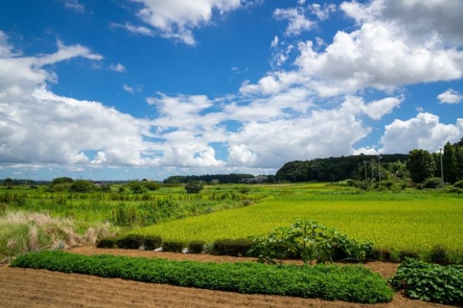 地方移住への関心が高まっている理由とは？