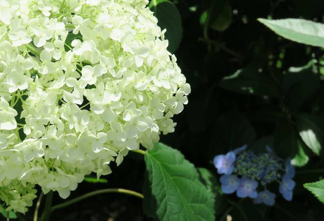 夫とキャバ嬢の関係を明らかにして適切な対応をしたい方へ