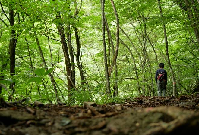 家族の家出とは？背景にある原因と徘徊との違い