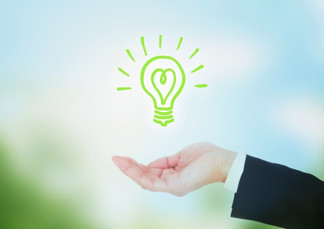 Investigating Patent and Trademark Infringement by Japanese Companies