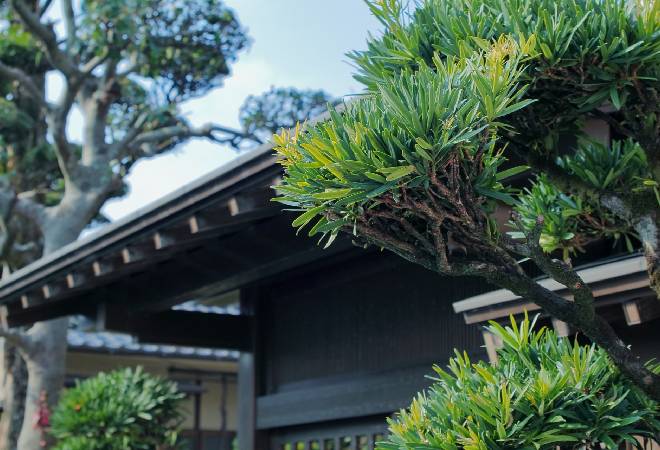 無断キャンセルやノーショー嫌がらせに悩む宿泊施設経営者へ