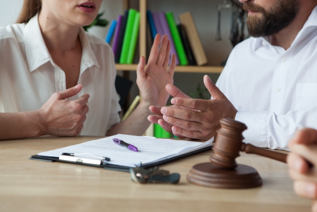 Support for Alimony and Child Support Disputes in Japan