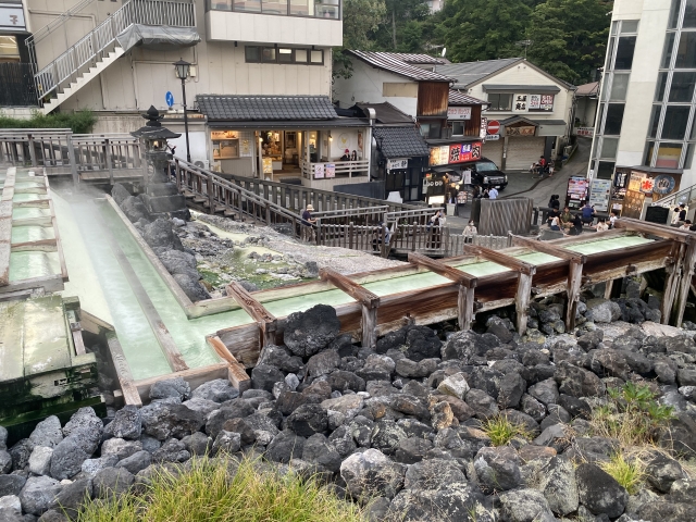 Private Investigation in Gunma for Overseas Clients