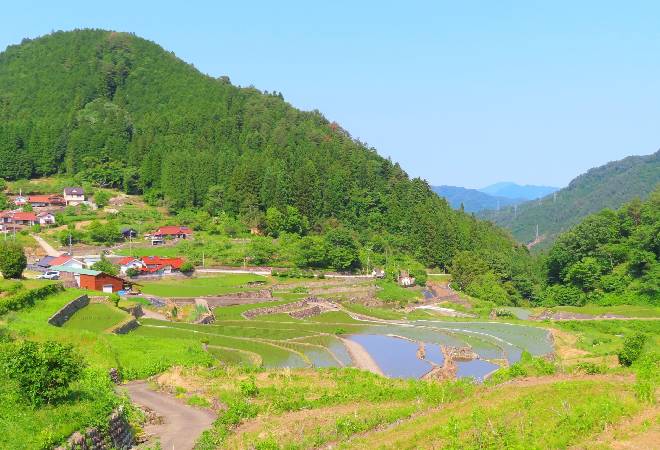 六価クロム汚染による農産物被害に損害賠償請求をお考えの方へ