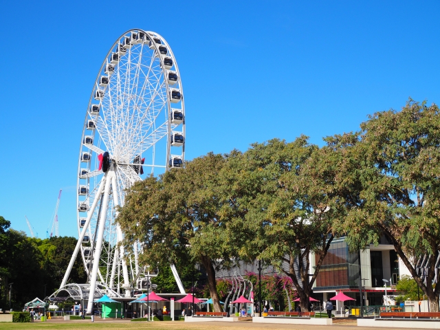 Is My Partner Really Single in Japan? |  Marital Status Check for Brisbane Residents