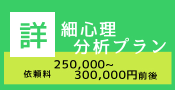 詳細心理分析プラン。