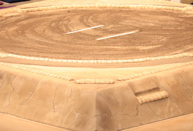 相撲部屋に入門した弟が、体罰やいじめに遭っていないか生活環境を調べたいご家族の方へ。