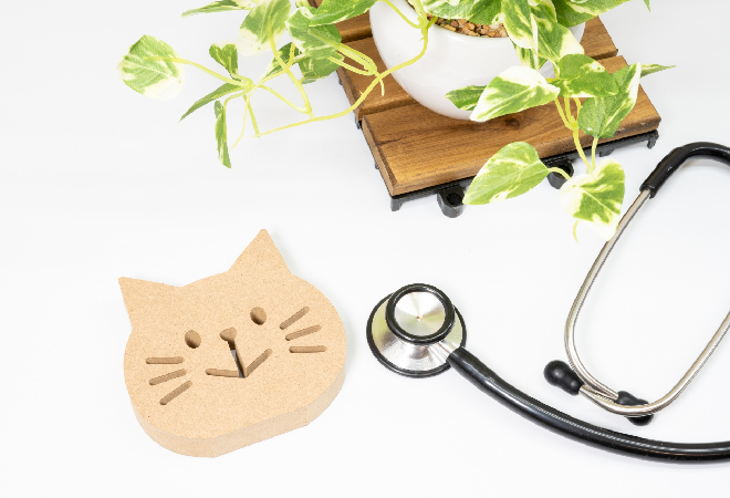 chousa_thumb