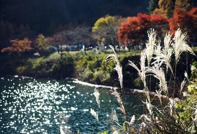 水難事故から命を救ってくれた地元の恩人へ感謝を届けたい方へ。